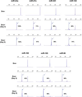 Efficient deletion of microRNAs using CRISPR/Cas9 with dual guide RNAs